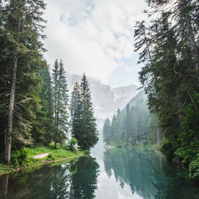 Lake in the mountain forest