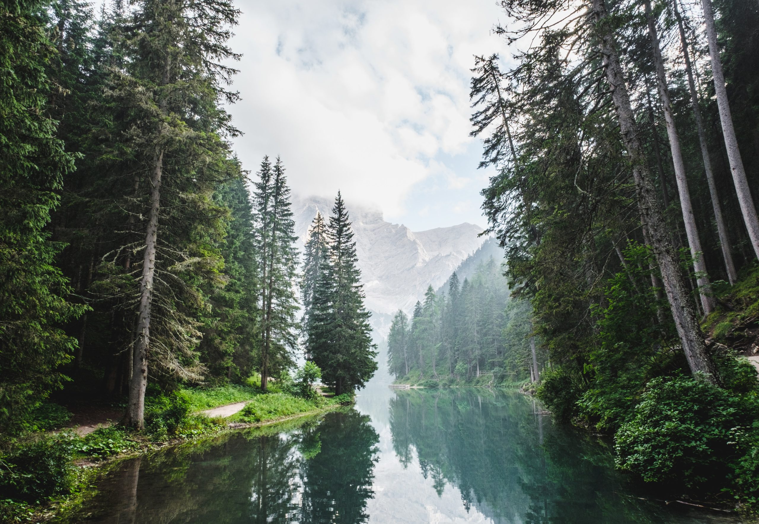 Mountains, forest, water