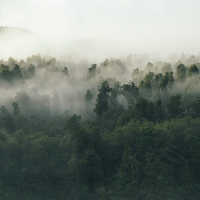 test łść